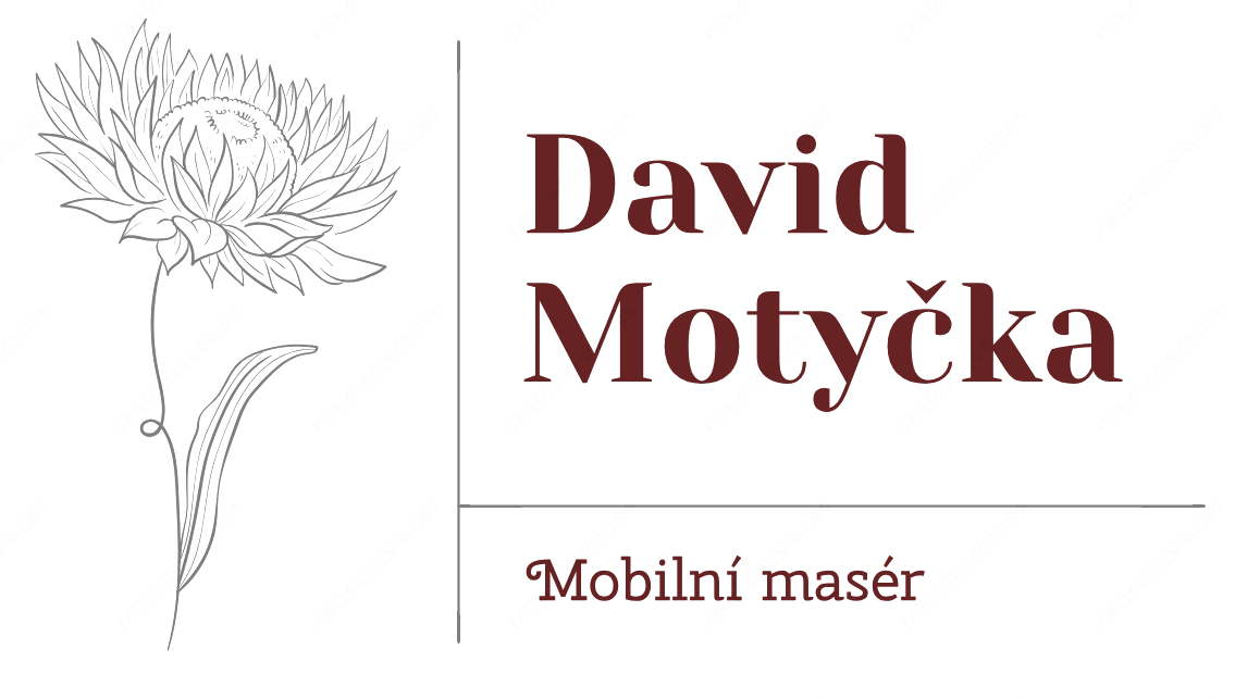 Mobilní masér